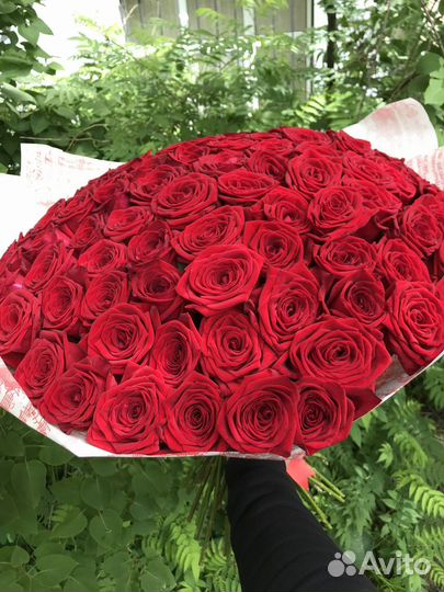 101 роза букеты цветы