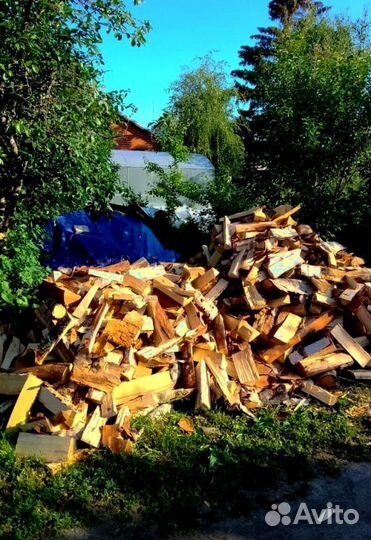 Дрова Береза любой объем от производителя в Приозе