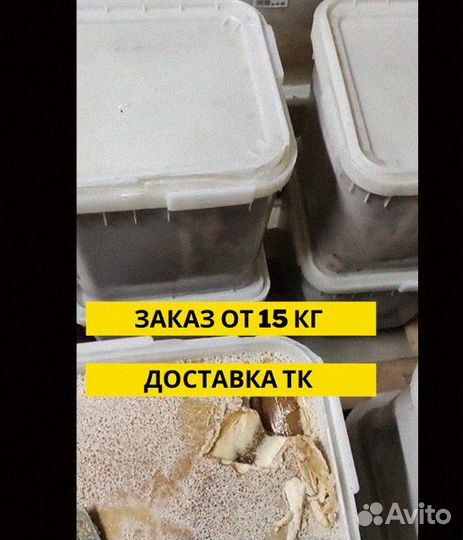 Экологически чистый мед оптом