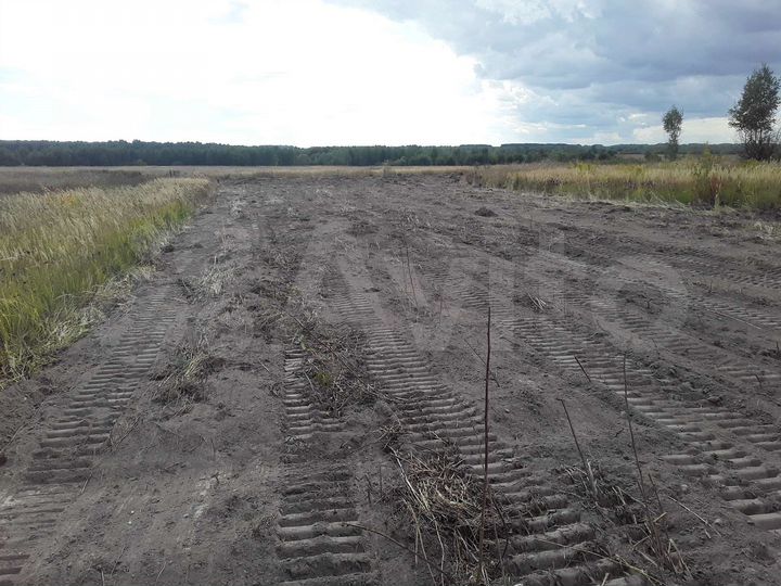 Участок 16 сот. (ИЖС)