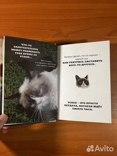 Grumpy Cat. Правила самой сердитой кошки в мире