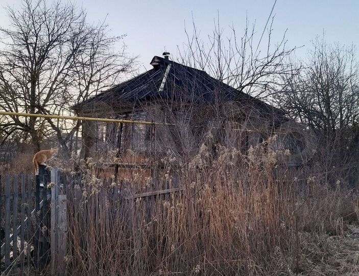 Участок 8 сот. (ИЖС)