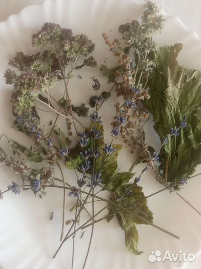 Банные запарки