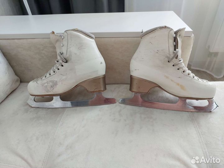 Коньки профессиональные Edea Chorus 230