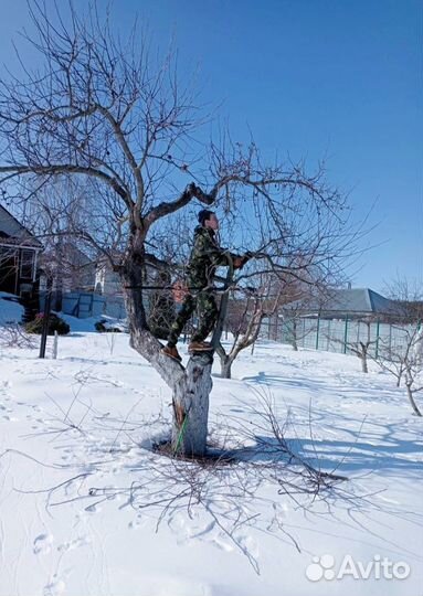 Садовник озеленитель