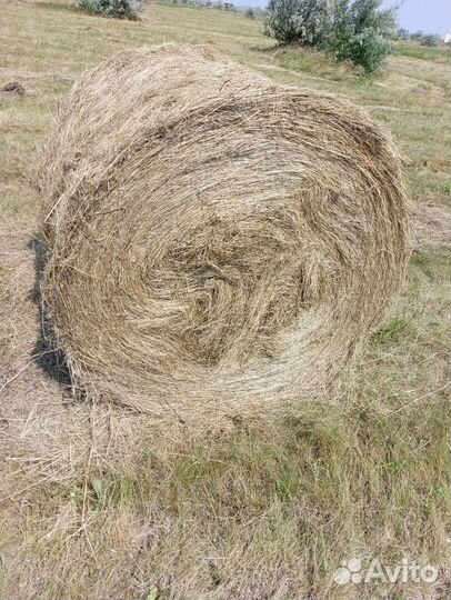 Услуги пресс подборщика