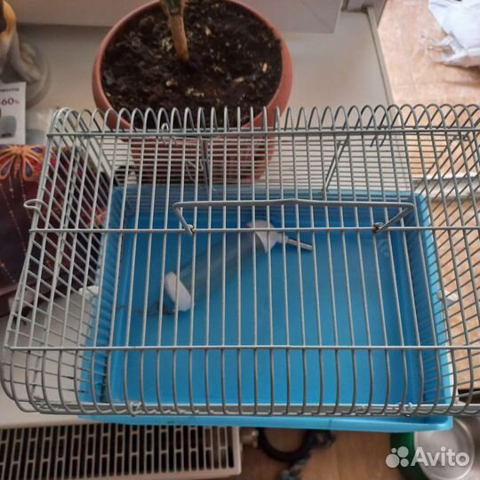 Клетка для хомяка бу