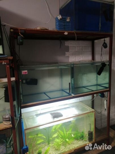 Аквариум