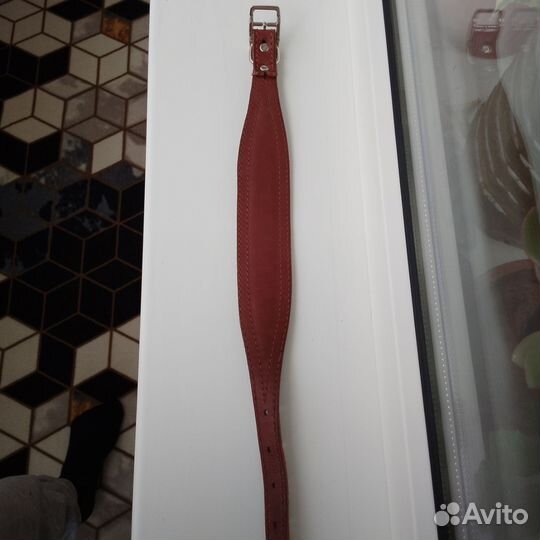 Ошейник для собак