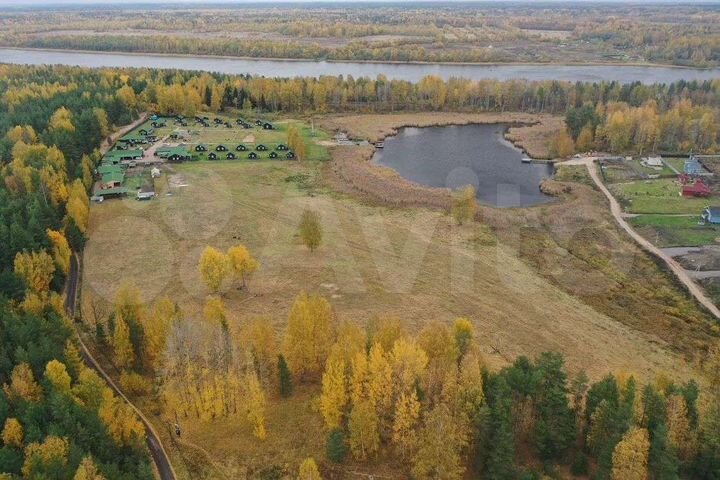 Участок 65 сот. (СНТ, ДНП)