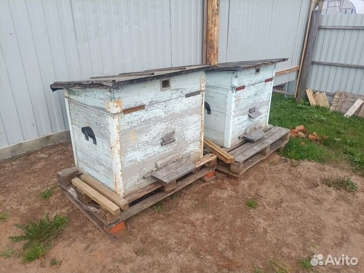 Пчелиные ульи