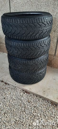 Tigar Winter 245/45 R18