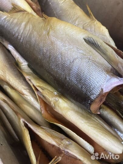 Горбуша холодного и горячего копчения