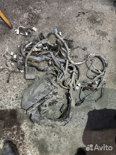 Коса подкапотная Toyota Corolla E150