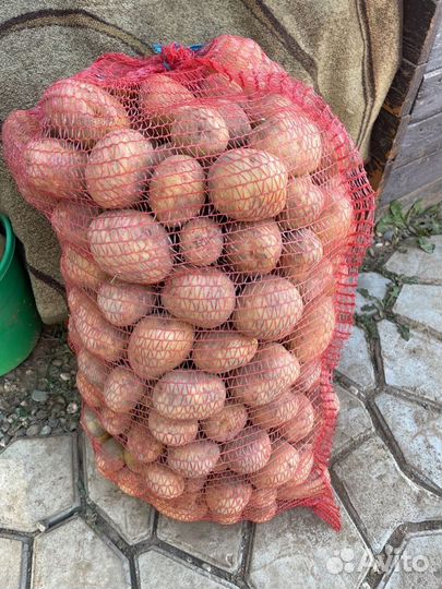 Продам картофель с доставкой