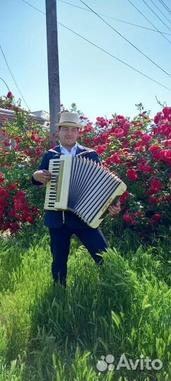 Аккордеонист Баянист Гармонист на праздники