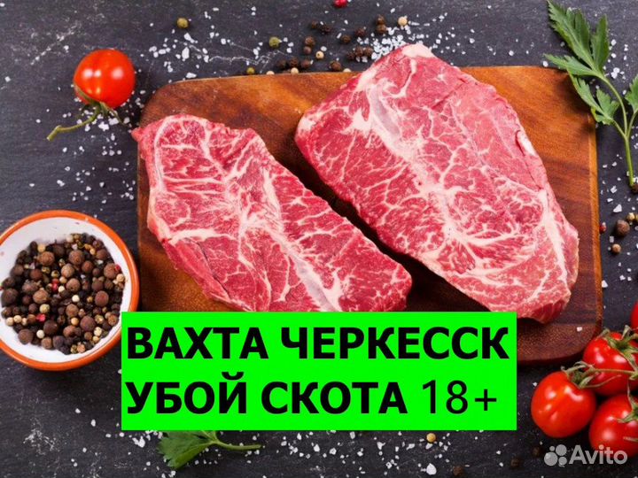 Вахта Черкесск / Убой скота 18+