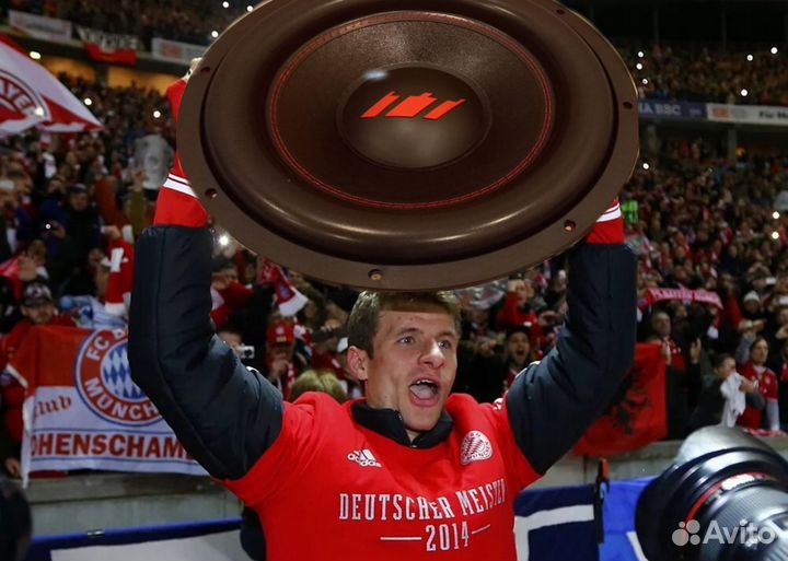 Subwoofer с усилителем