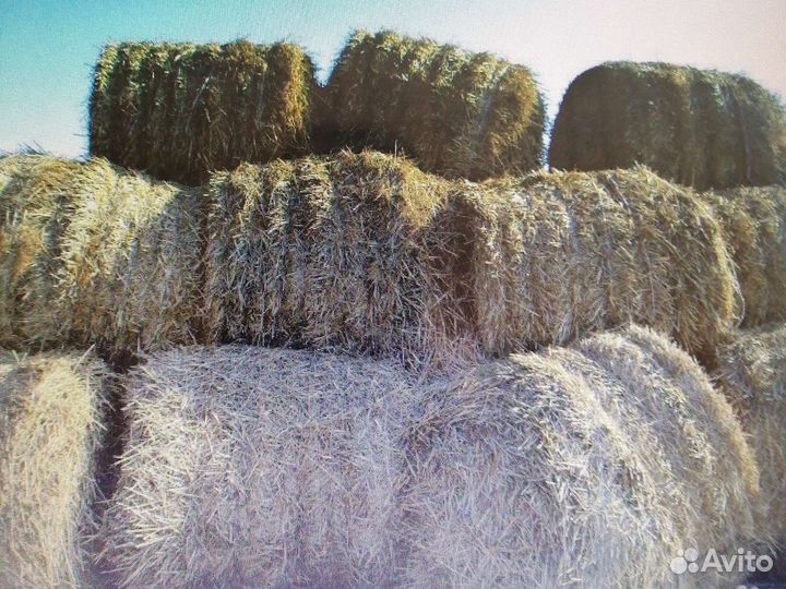 Сено. Солома