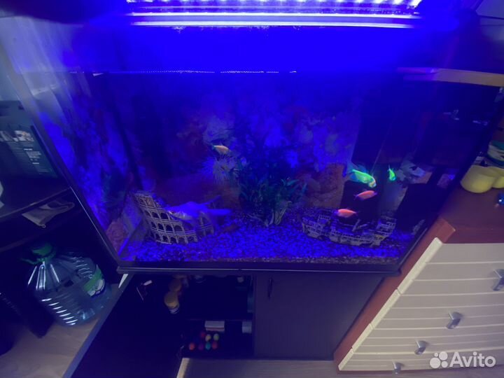 Аквариум