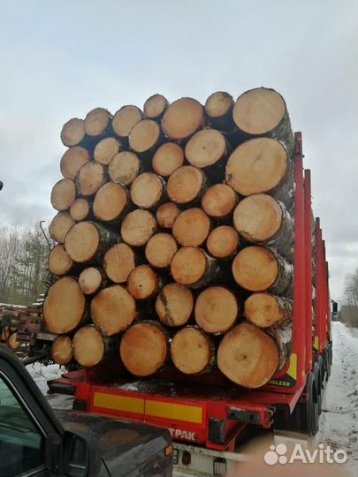 Лес кругляк строевой