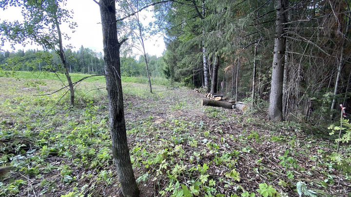 Участок 6,5 сот. (СНТ, ДНП)