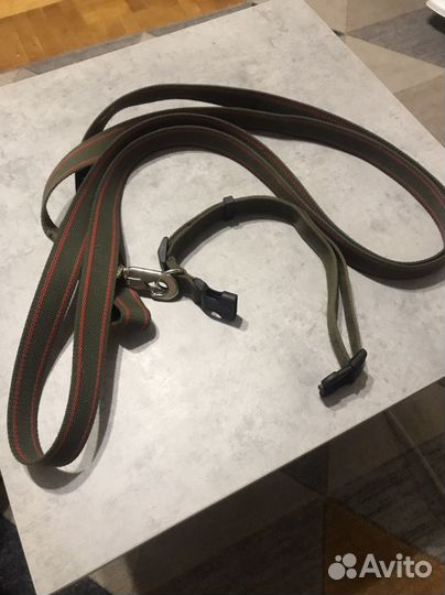 Ошейник и поводок