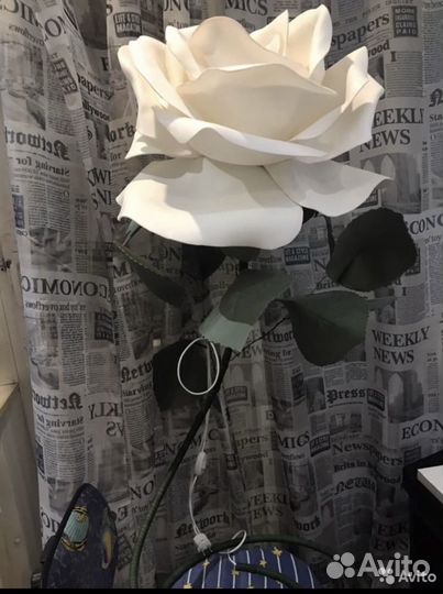 Ростовая роза