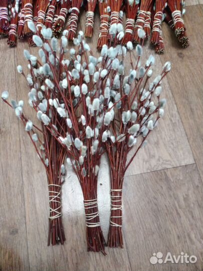 Верба оптом