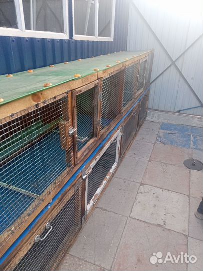 Клетки для кроликов бу