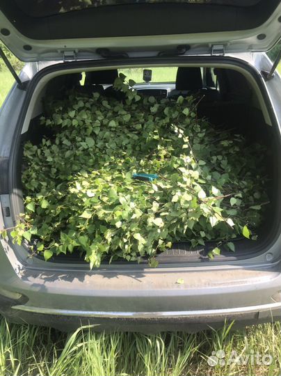 Веники для бани