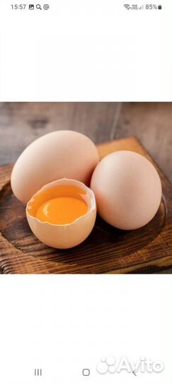 Домашние куриные яйца