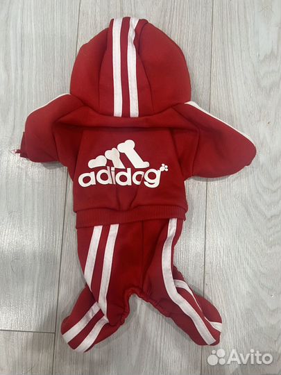 Одежда на маленькую собаку