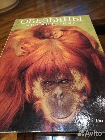 Книги Мир животных