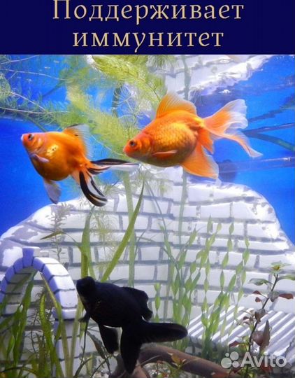 Корм для рыбок