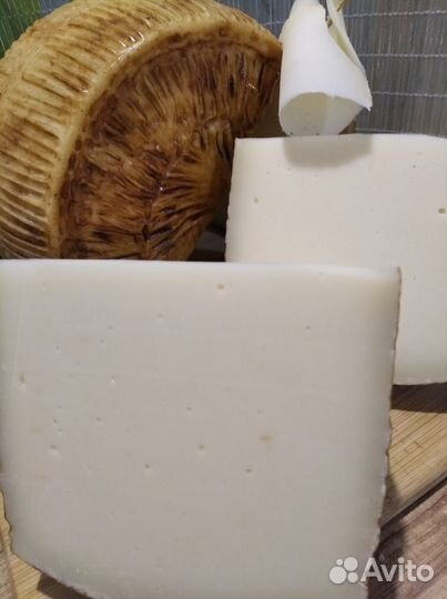 Адыгейский сыр, твердые сыры, молочные продукты