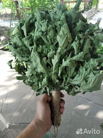 Веник из дуба для бани