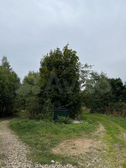 Участок 10 сот. (СНТ, ДНП)