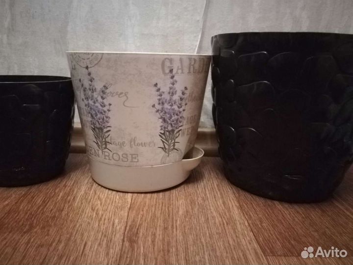 Алоэ(столетник), кактус, горшки цветочные