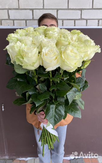 Белые розы гиганты