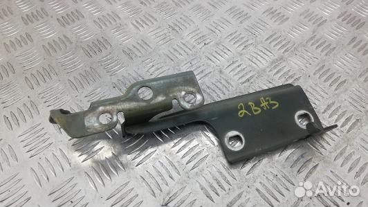 Петля капота chevrolet trailblazer (2BA03D502)