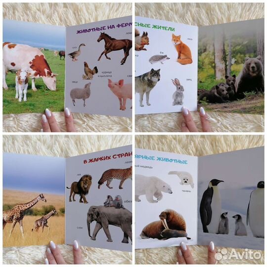 Развивающие книги 