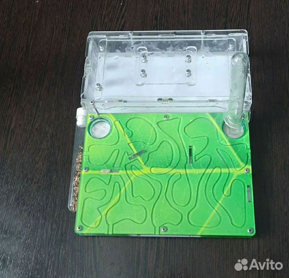 Формикарий, муравьиная ферма.Дом для муравьев