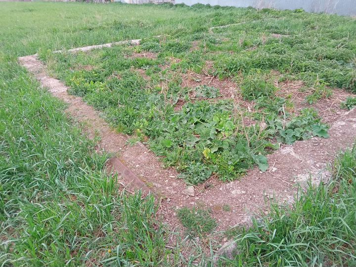 Участок 31 сот. (ИЖС)