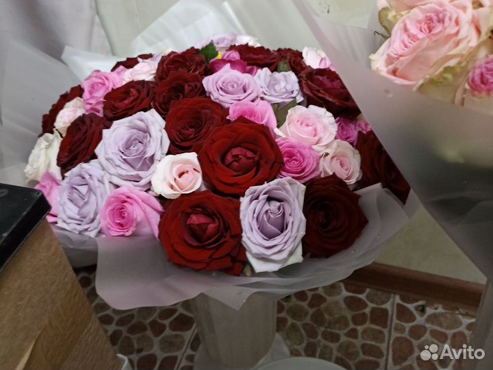 Цветы розы 101