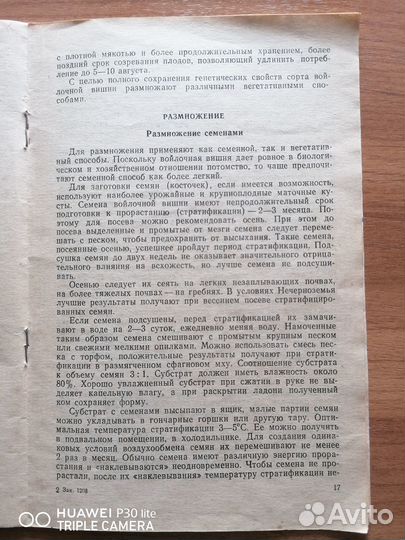 Войлочная вишня в вашем саду. Редкое издание