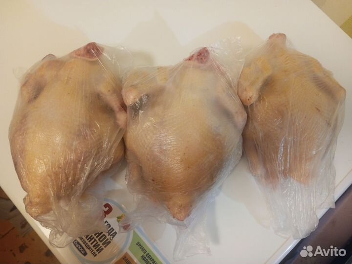 Мясо бройлера