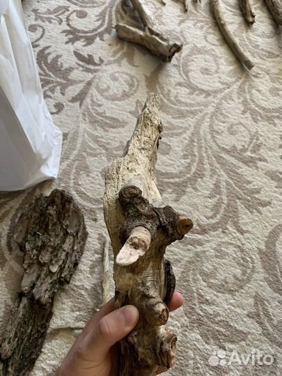 Коряги дрифтвуд