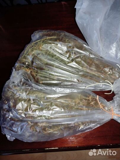 Трава зверобой