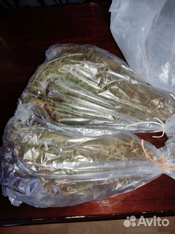 Трава зверобой